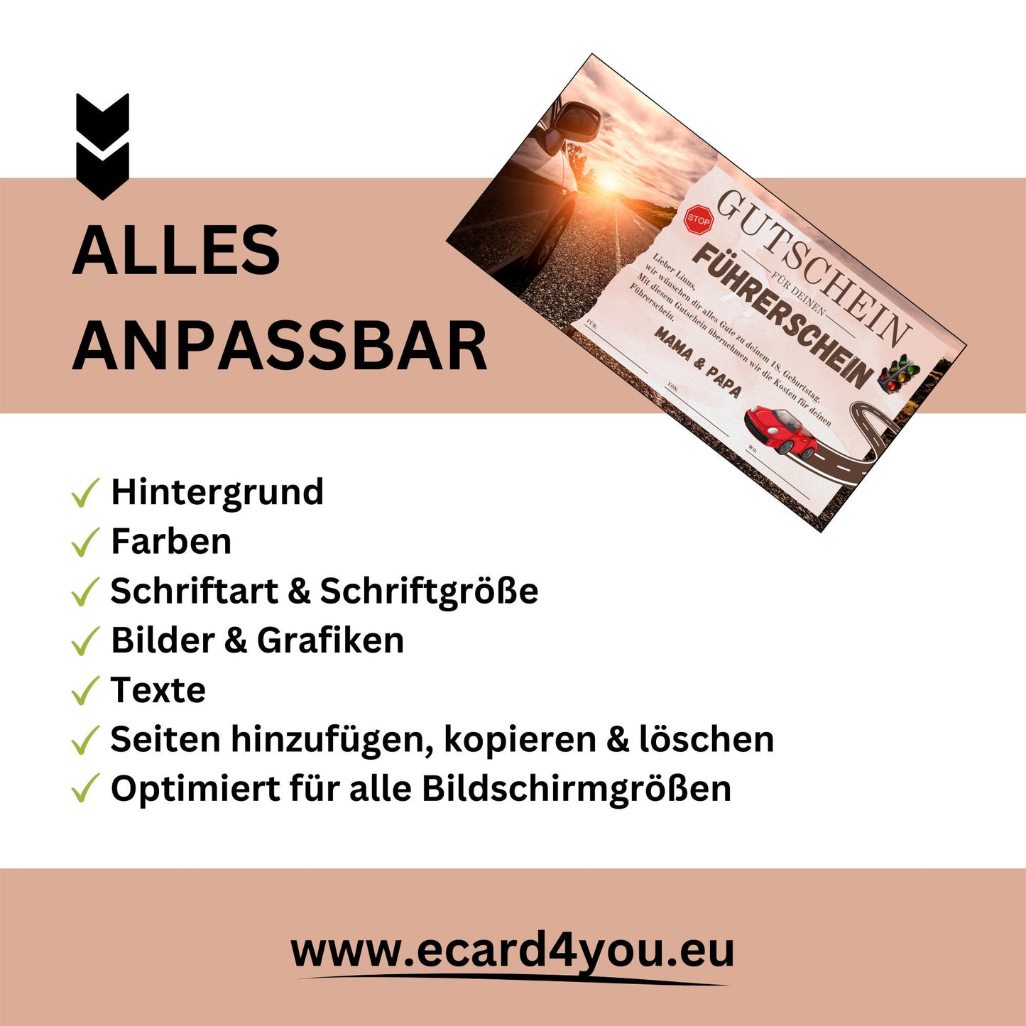 Gutschein - Führerschein Fahrstunden PKW Geschenkgutschein - eCARD4you