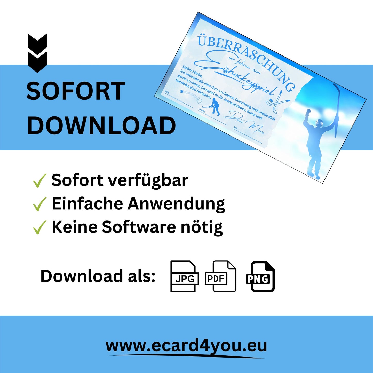 Gutschein - Eishockey Spiel Erlebnisgutschein - eCARD4you