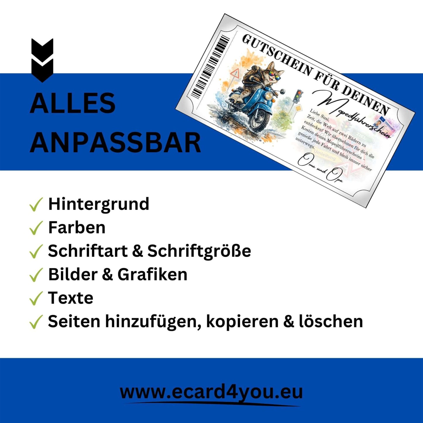 Mopedführerschein Gutschein Geschenk Großeltern Katze Charakter blaue Schwalbe