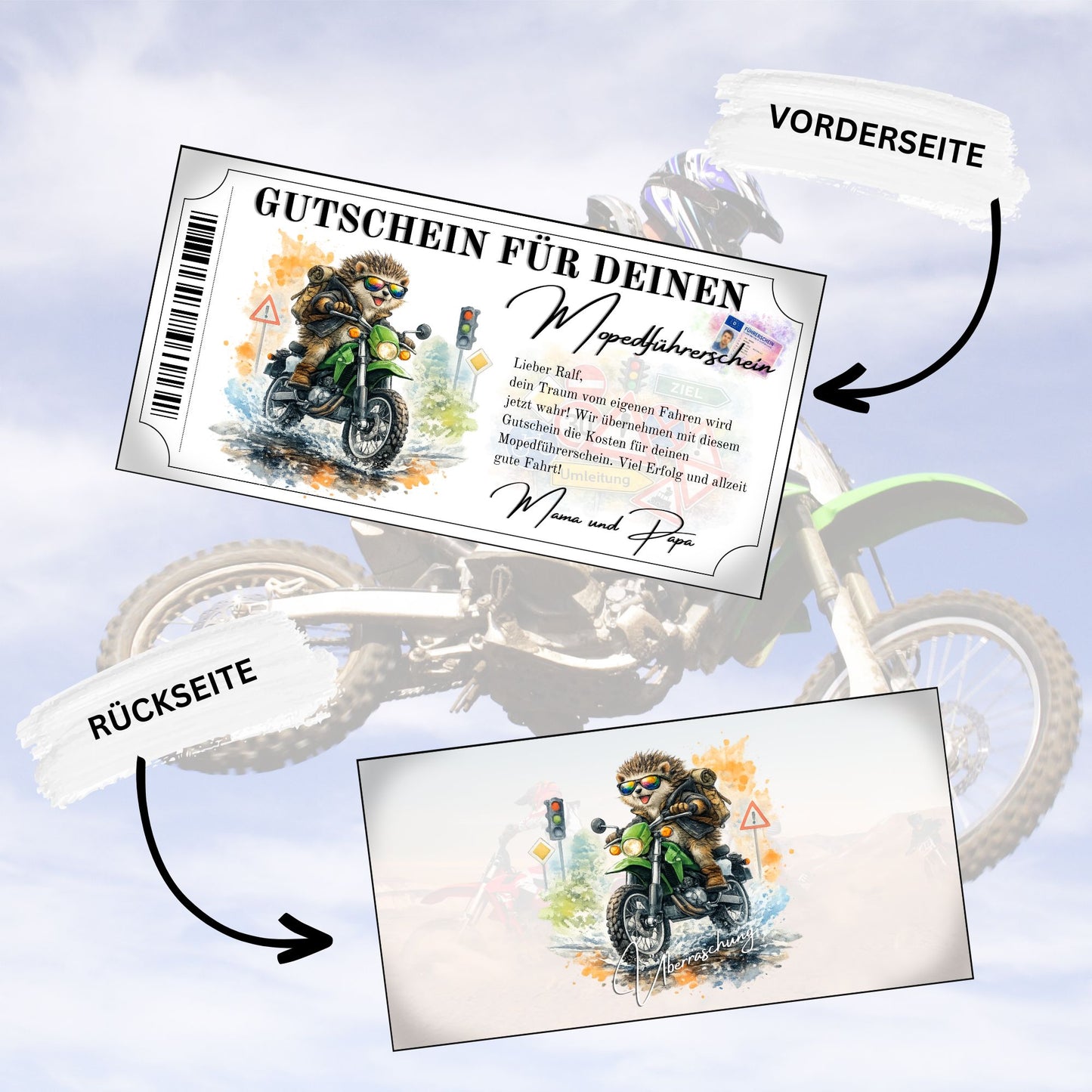 Gutschein für Mopedführerschein witziger Igel mit Sonnenbrille Aquarell