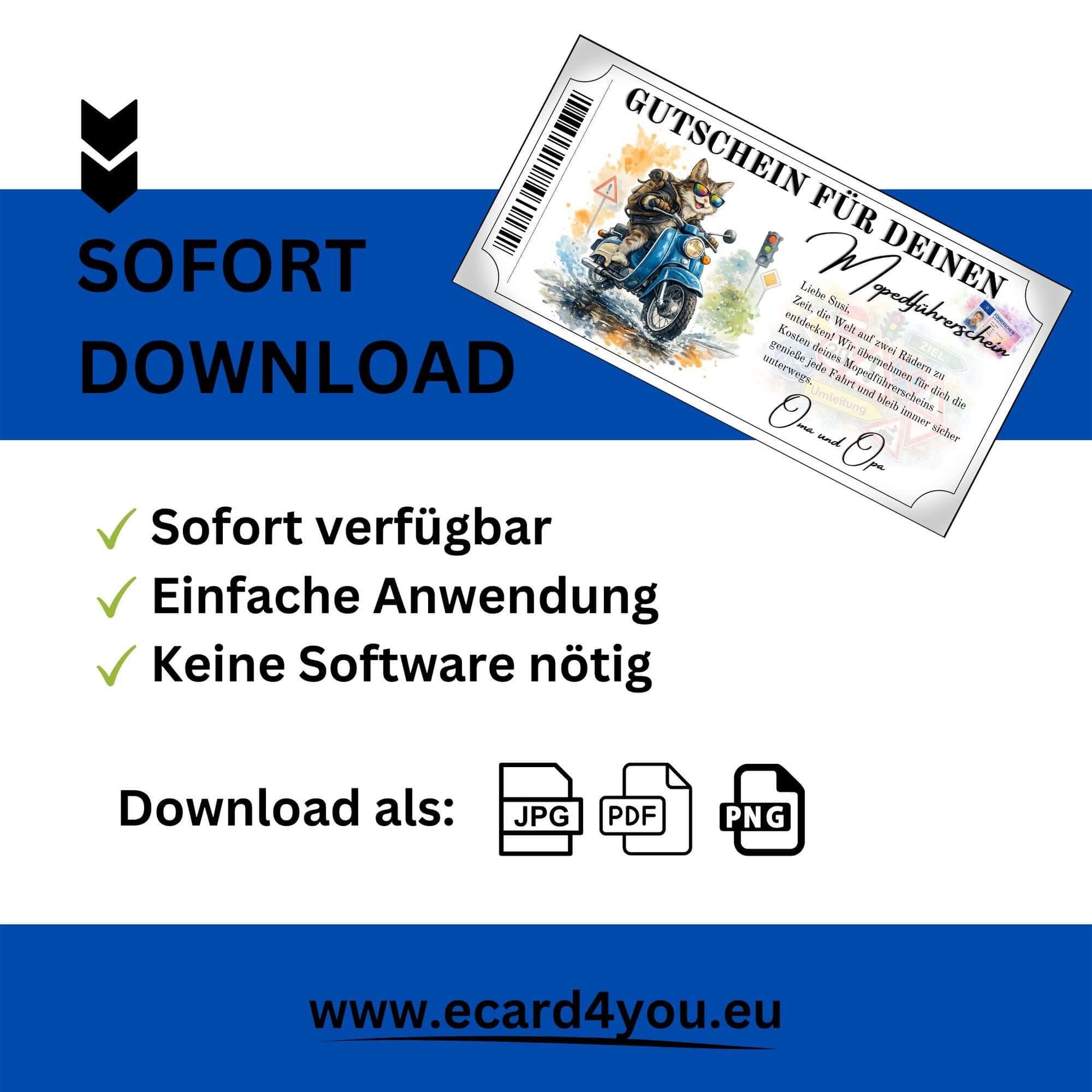 Mopedführerschein Gutschein Katze blaue Simson Schwalbe Führerschein Collage