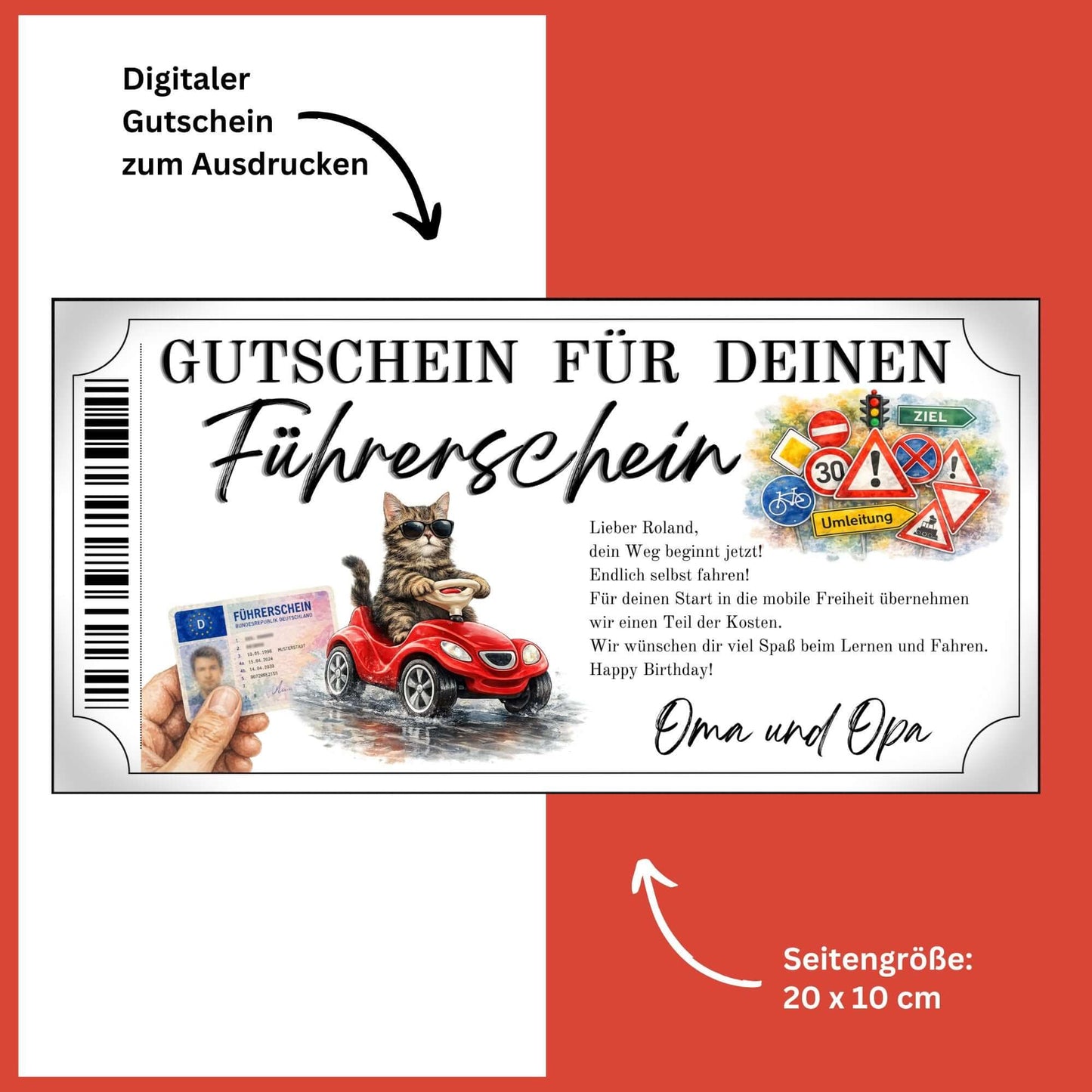 Führerschein Gutschein Katze Canva Vorlage mit getigerter Katze und Sonnenbrille auf Bobby-Car
