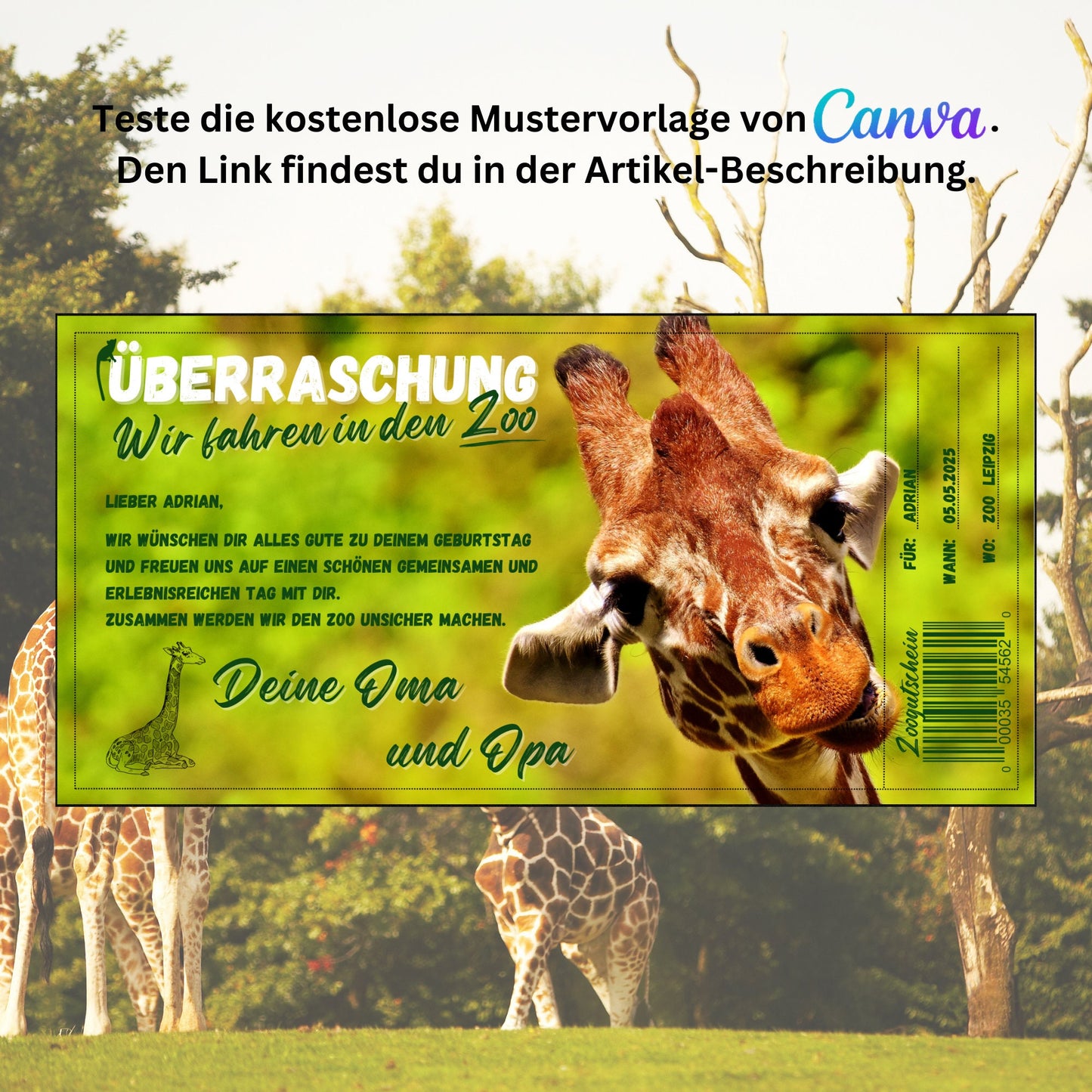 Gutschein - Zoobesuch Erlebnispark Geschenkgutschein Giraffe