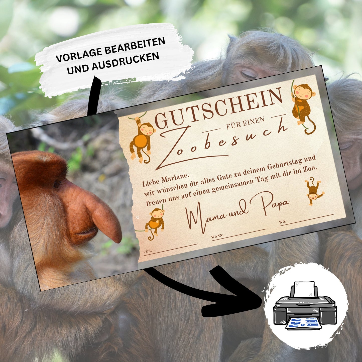 Gutschein - Zoobesuch Erlebnispark Geschenkgutschein Affe Gorilla