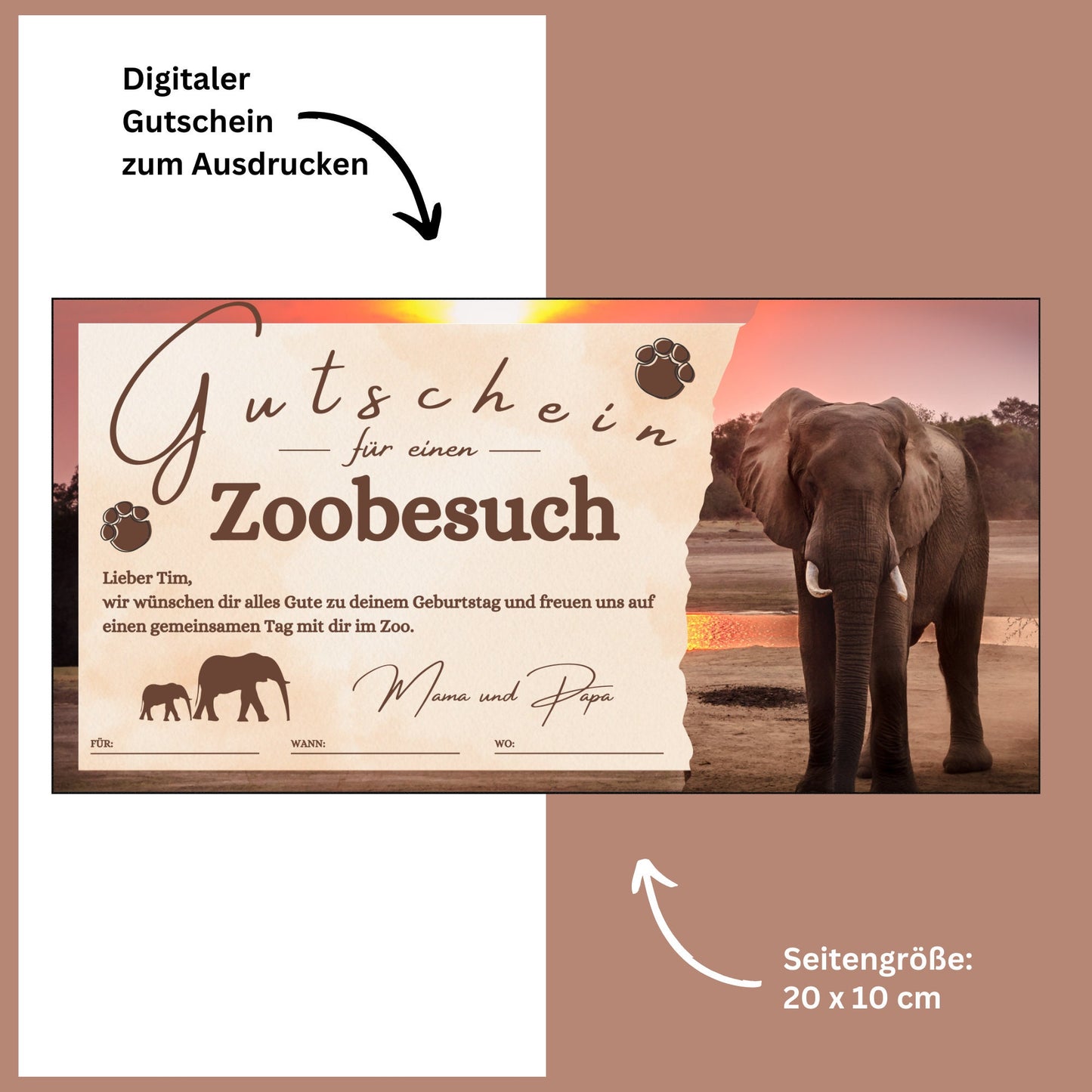 Gutschein - Zoobesuch Erlebnispark Geschenkgutschein Elefant