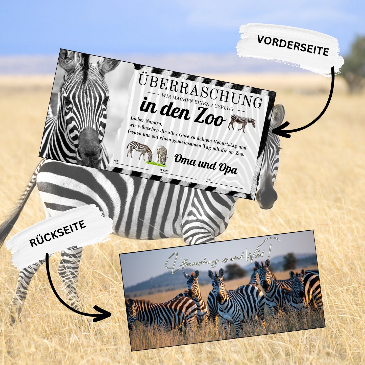 Gutschein - Zoobesuch Erlebnispark Geschenkgutschein Zebra Wildtier