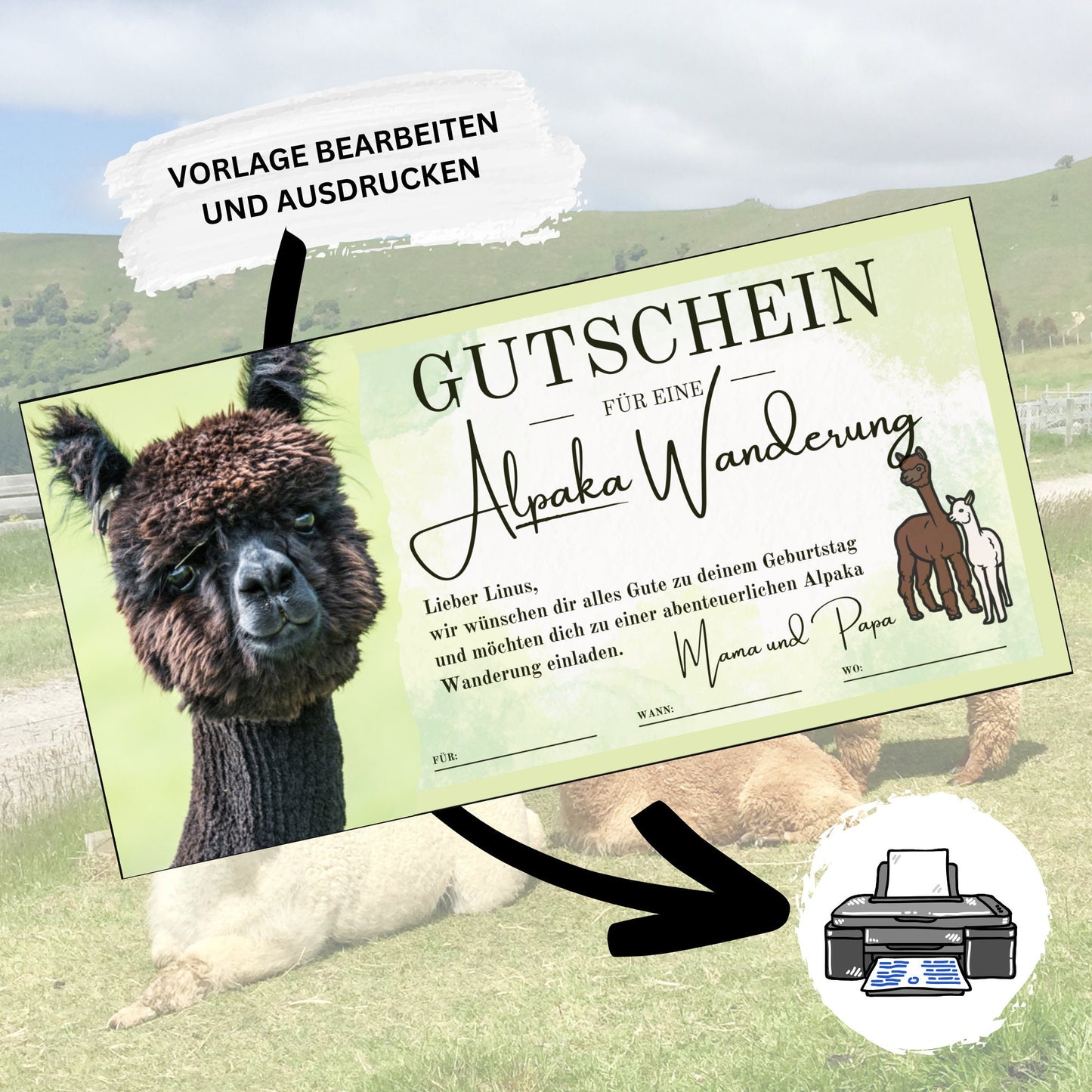 Gutschein - Alpaka Wanderung Erlebnisgutschein Geschenkidee