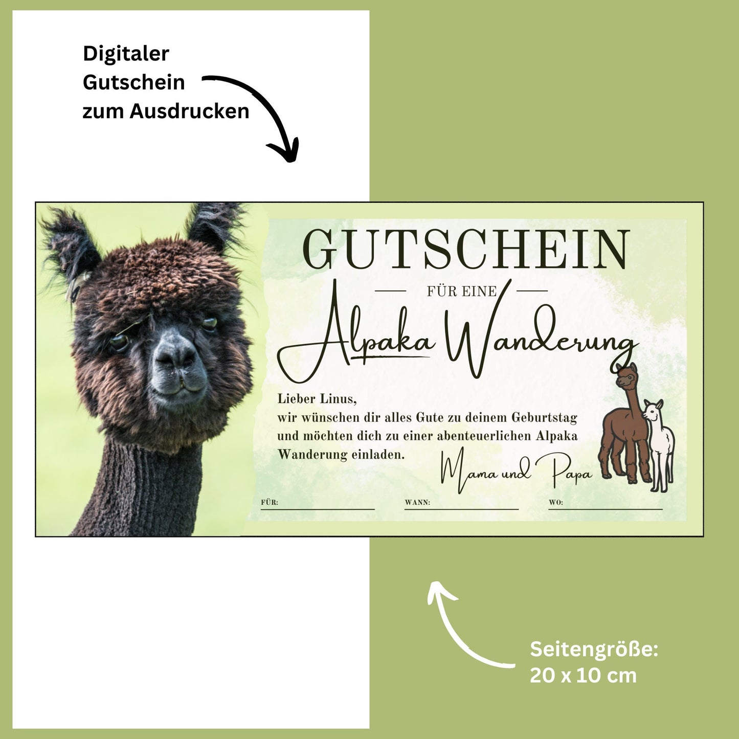 Gutschein - Alpaka Wanderung Erlebnisgutschein Geschenkidee