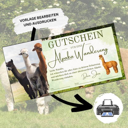 Gutschein - Alpaka Wanderung Erlebnisgutschein Geschenkidee